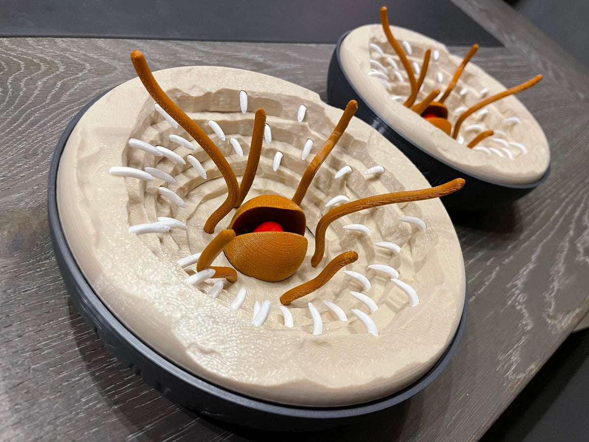 Baby Sarlacc