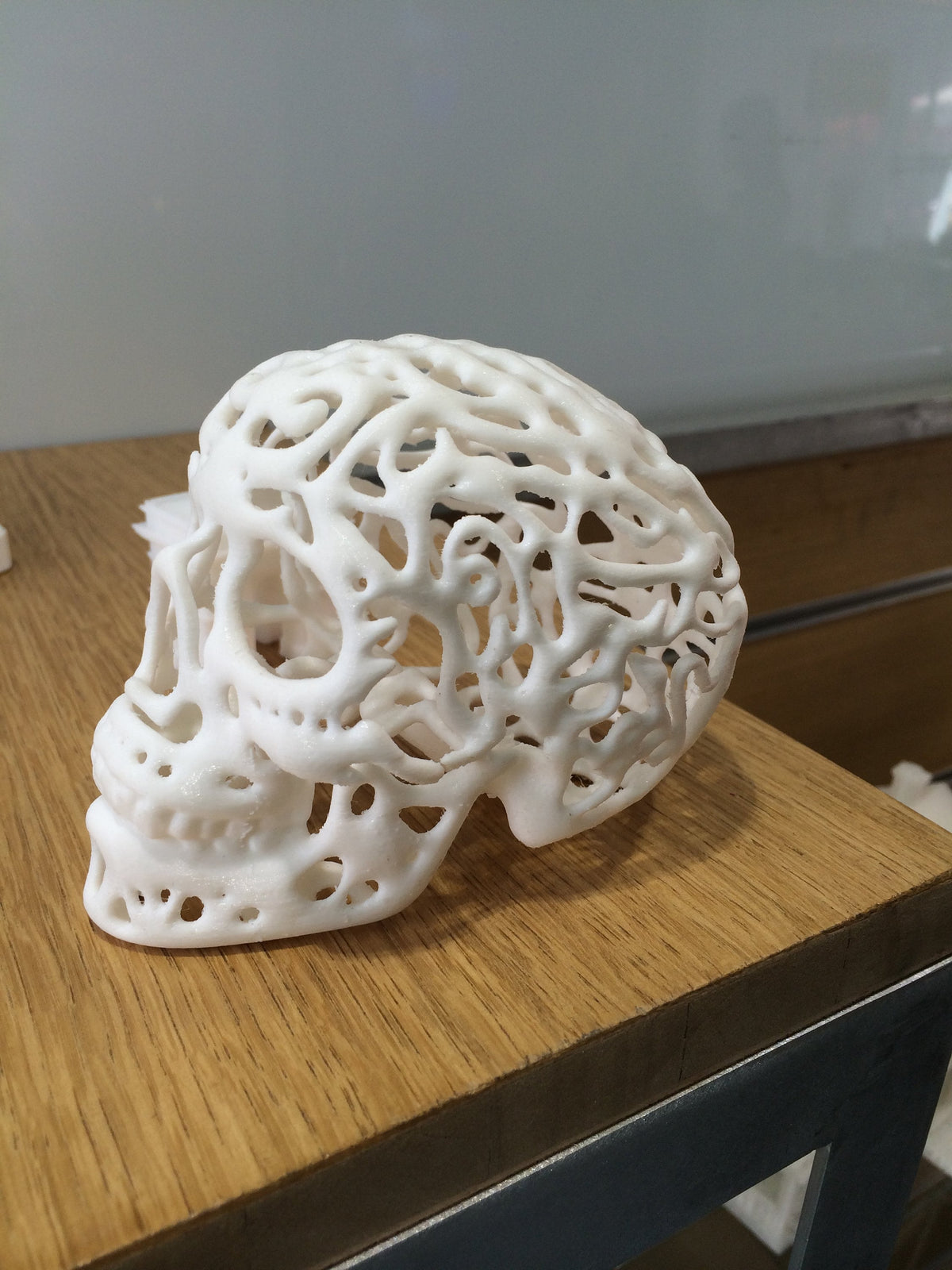 Cranium photophore skull